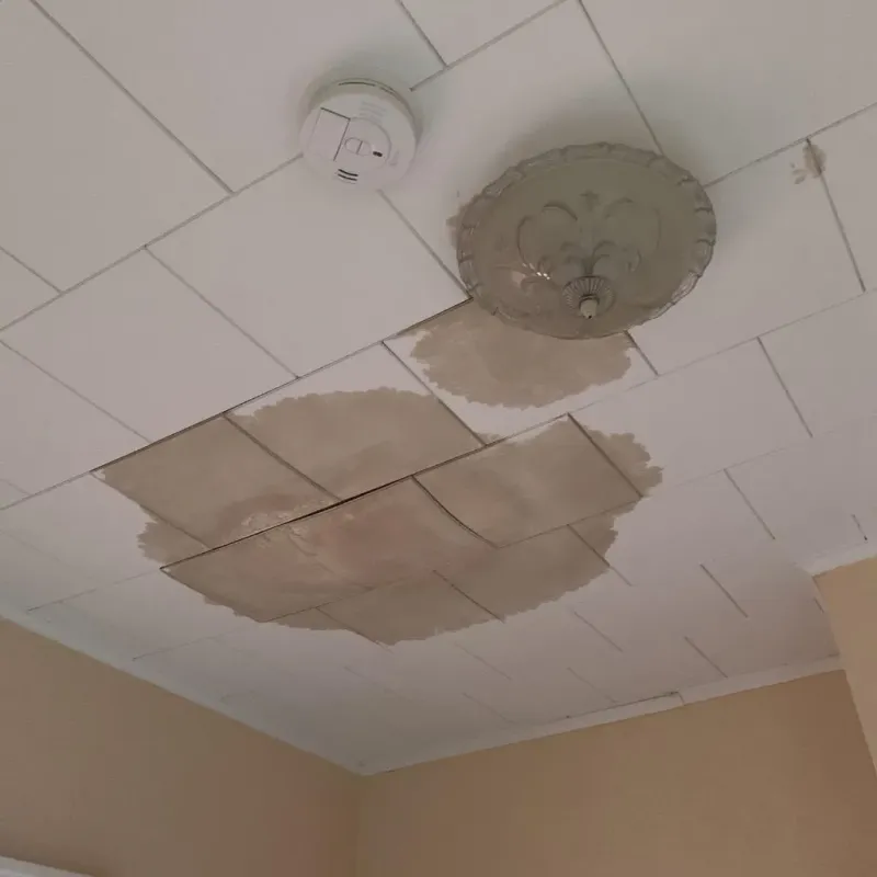 Ceiling Water Damage Repair in DeWitt County, TX