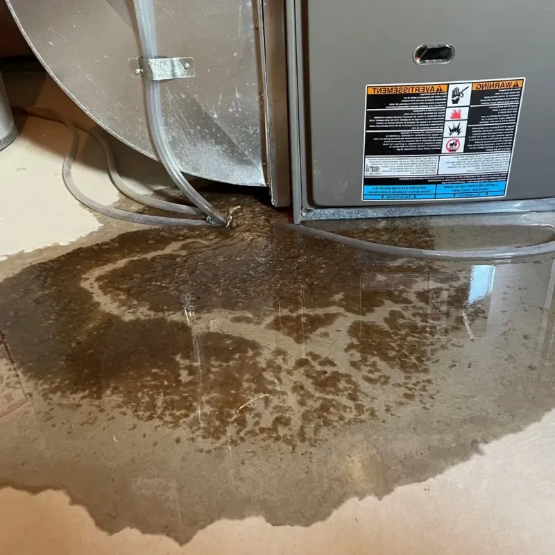 Pipe Burst and Leak Restoration in DeWitt County, TX