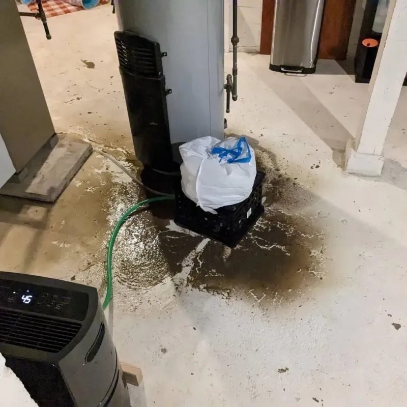 Sewage Backup Cleanup Service in DeWitt County, TX
